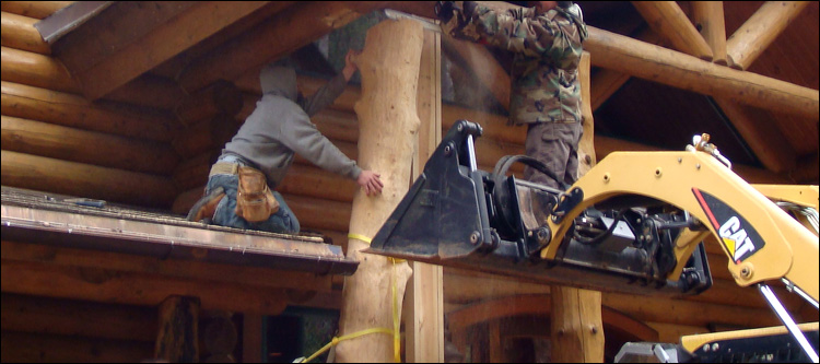 Log Home Log Replacement  Oldham County, Kentucky